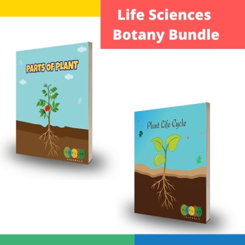 Plant science activities for kids