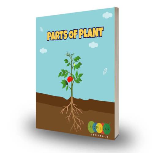 parts of plants for kids