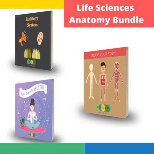 Human body activities for kids