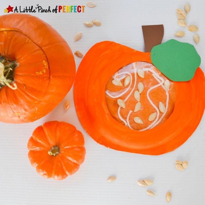 Pumpkin Paper Plate Craft for Kindergarten