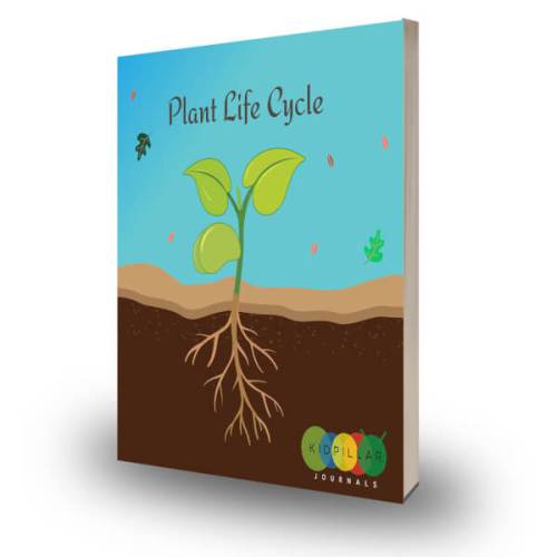 Plant Life Cycle for kids