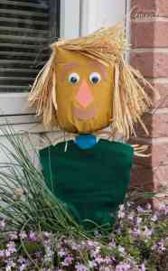 Paper Bag Scarecrow thanksgiving Craft for adults