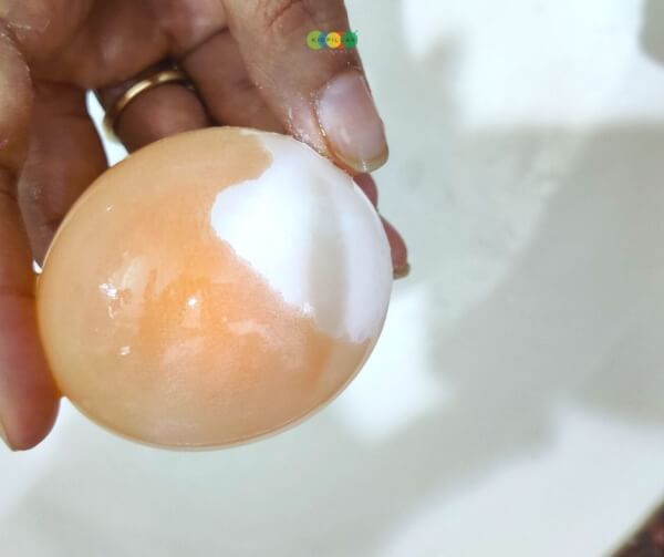 Rubber Egg experiment