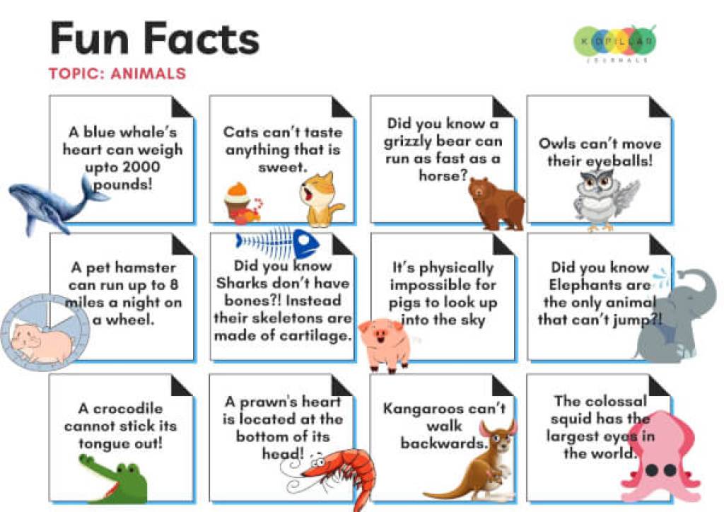 Animal Fun Facts for kids