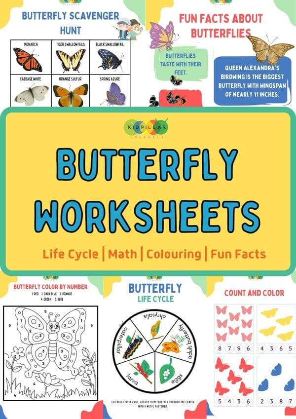 Butterfly Worksheets for Kids