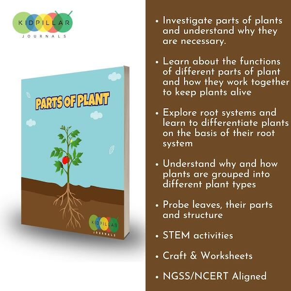 Parts of Plants for kids