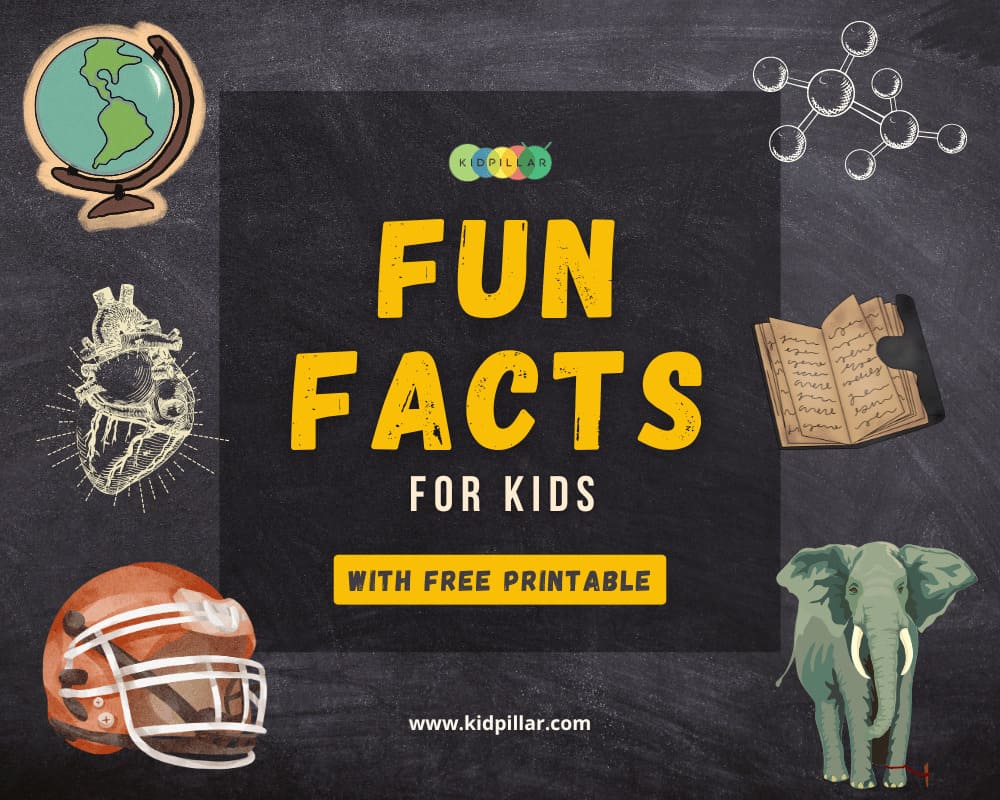 229 Fun Facts For Kids – Weird But True!