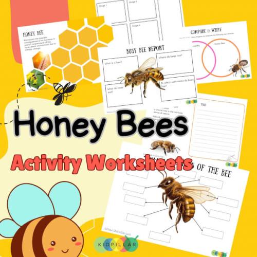 Honey Bee Worksheet