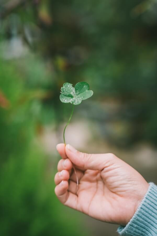 St. Patty's day facts lucky