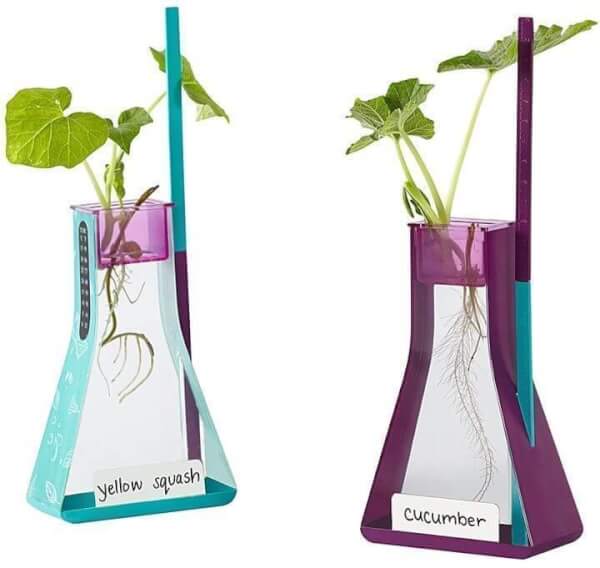 Hydroponics Kits for kids