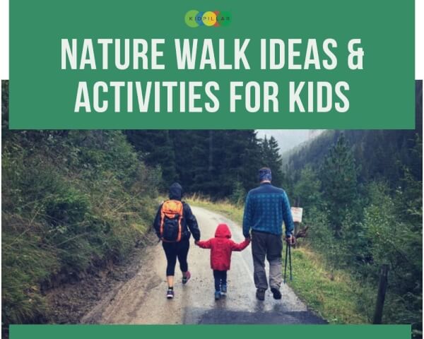 Nature Walk for Kids