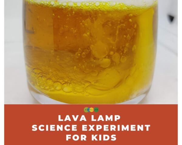 Lava lamp science experiment