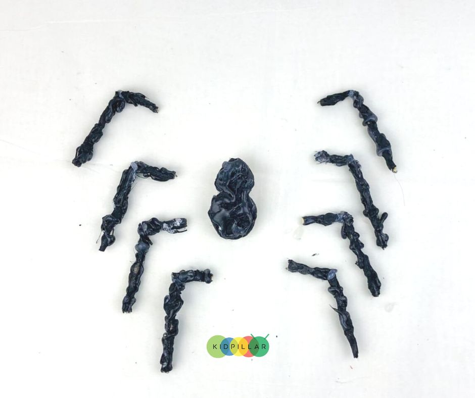 make 3D spider