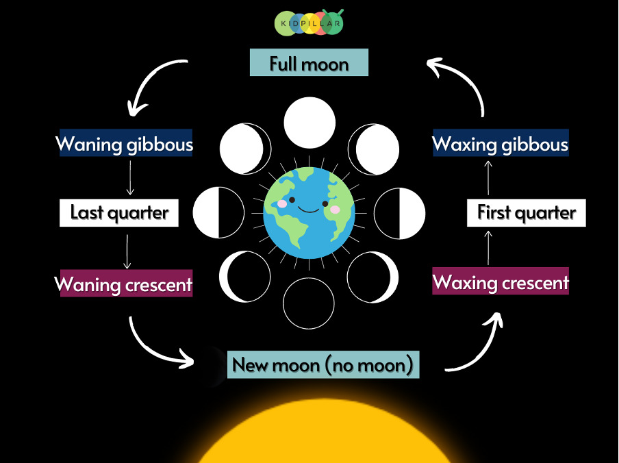 Oreo moon phases Chart