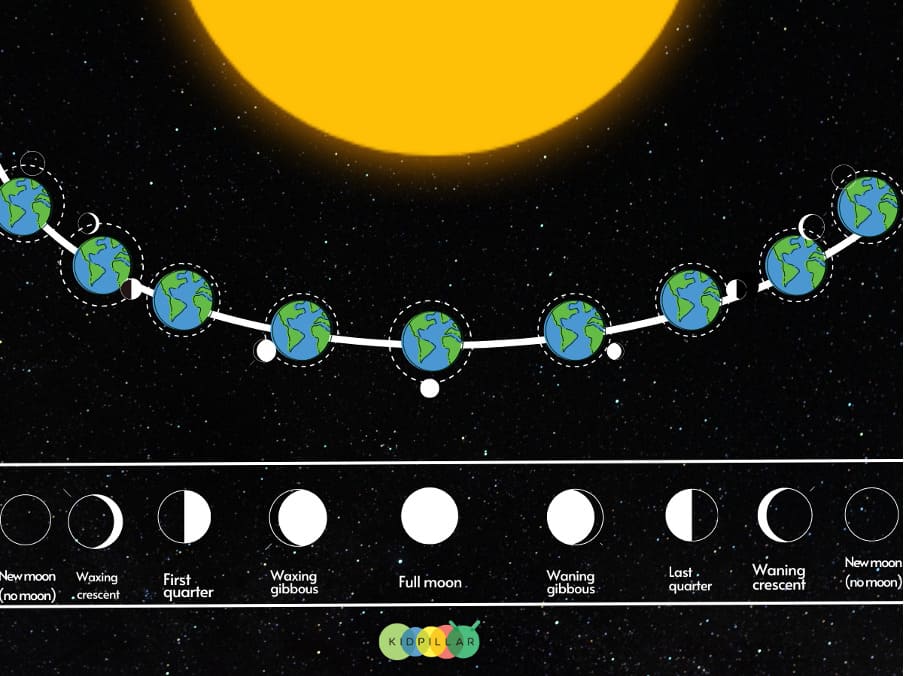 Oreo moon phases for students