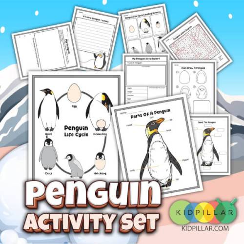 Penguin worksheets