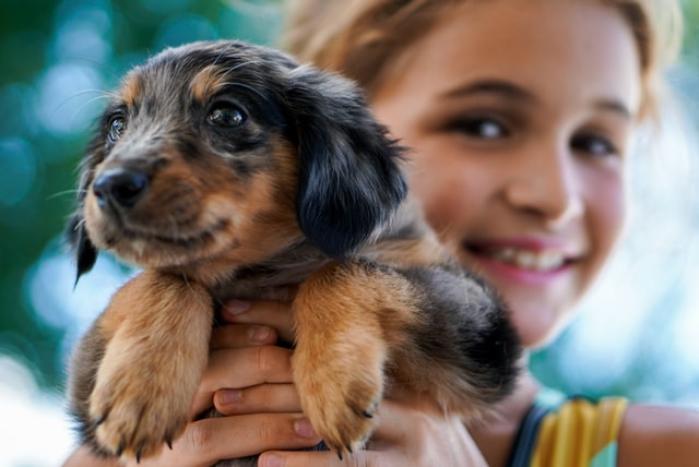 Pets benefits for kids