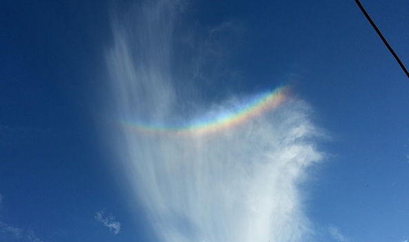 True or False - Some rainbows occur upside down, in a U-shape!