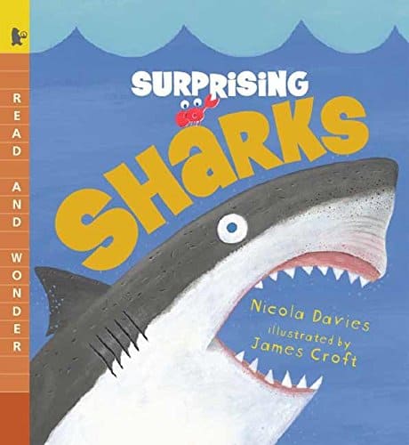 shark books for preschoolers