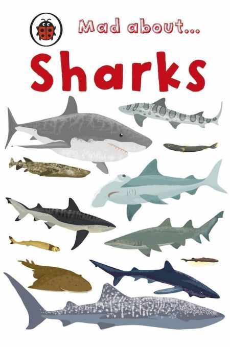 Best shark books to read for kids