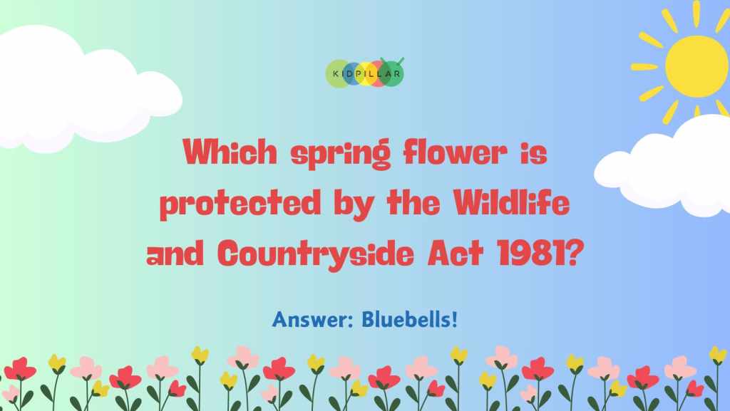 spring flowers trivia and answers for kids