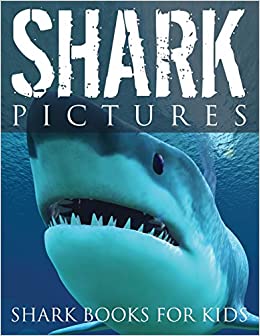 Shark picture books