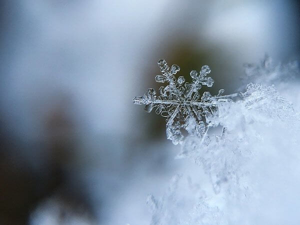 snowflake winter stem activities