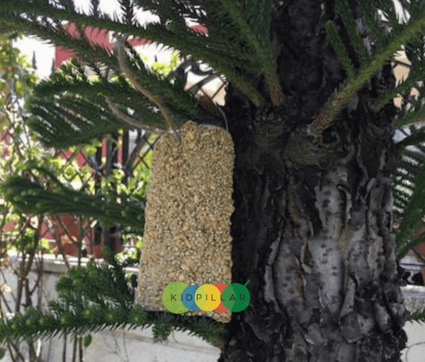 easy bird feeder for kids