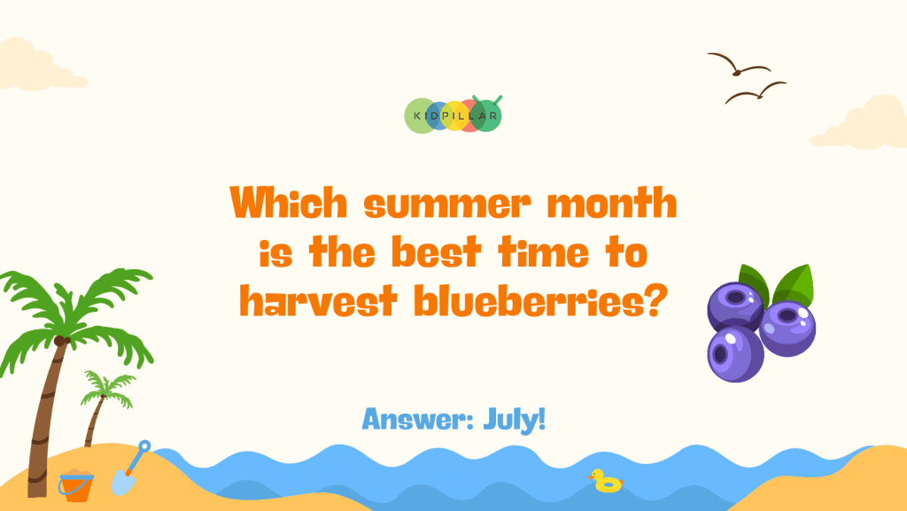 Easy summer food trivia quiz with answer - Which summer month is the best time to harvest blueberries? Answer: July!