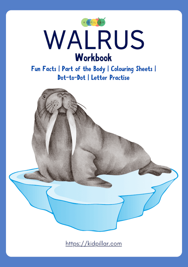 Walrus Activity Sheets