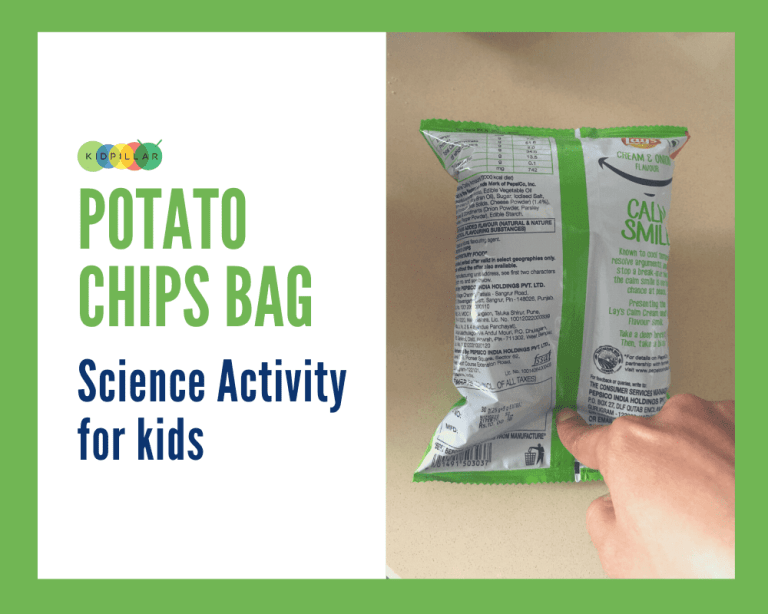 STEM Science Activity for Kids