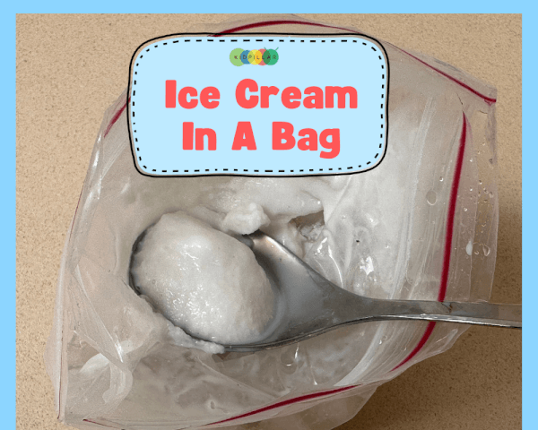 Make Ice Cream in a bag