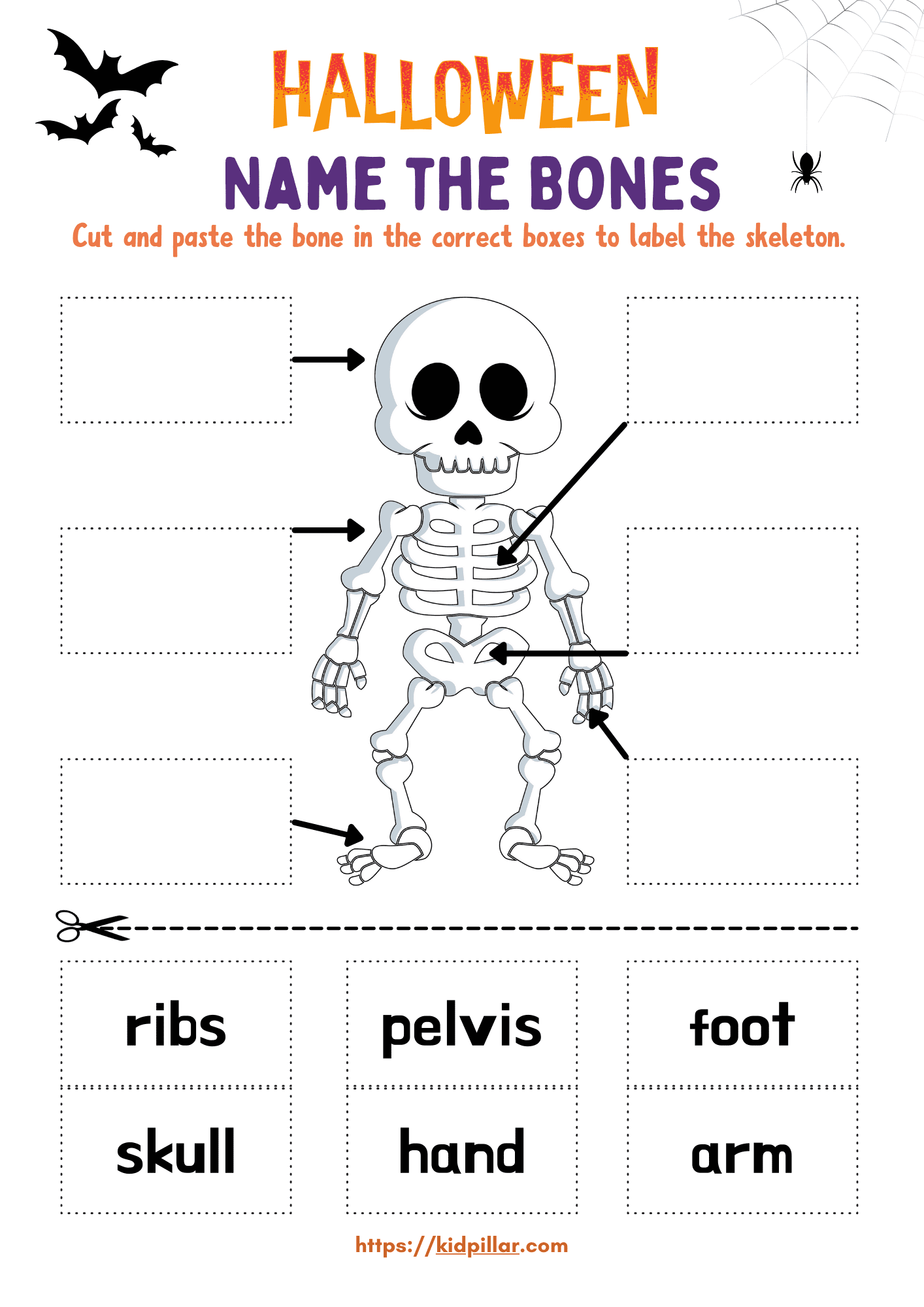 Name The Bones