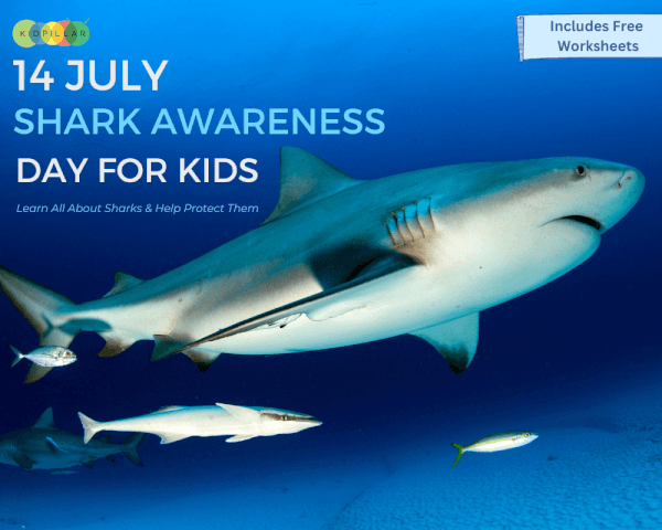 Shark awareness day kids