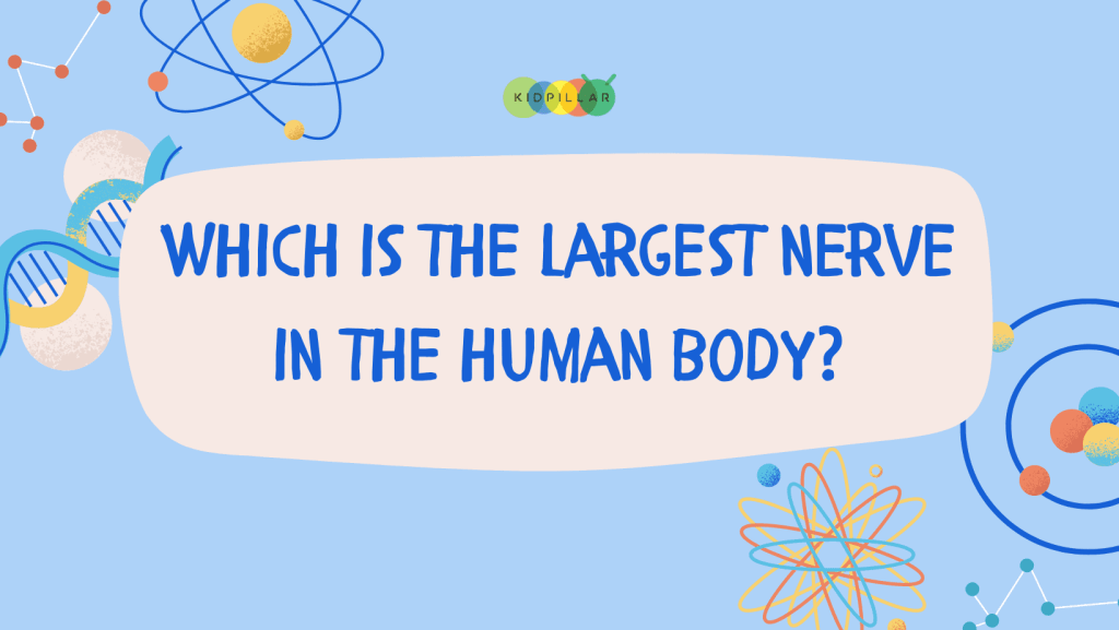 Simple science trivia for kids with answers