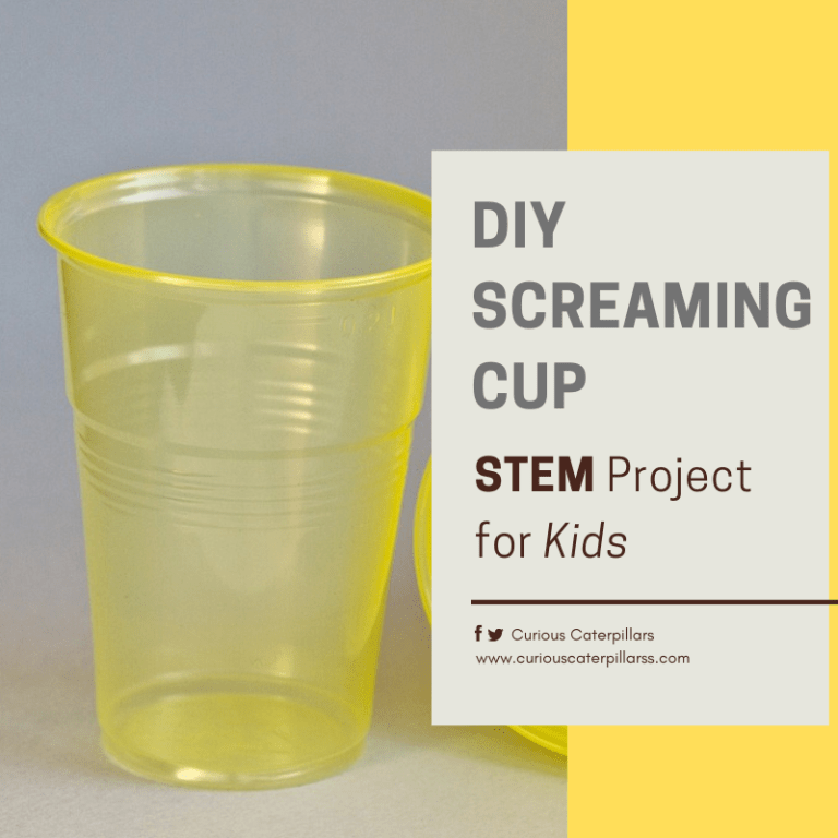 Screaming Cup STEM project