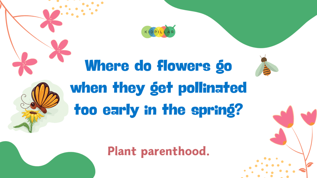 spring jokes puns for elementary students